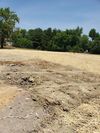 1255 Maple Street Ext photo